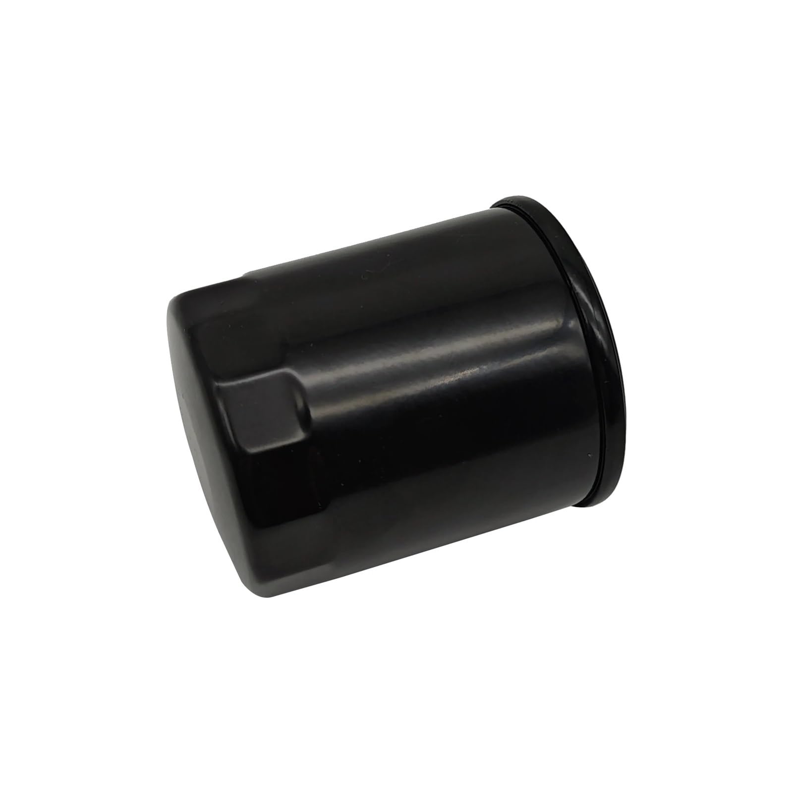 Pezzi di ricambio Filtro olio Fit for parti Go Kart Quad 1000cc Villain Fugleman UT10 SX10 Codice F02G00500001 E02-G005000-000-00