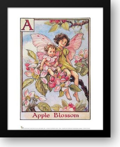 Amazon.com: Apple Blossom Fairy 15x18 Framed Art Print by Barker