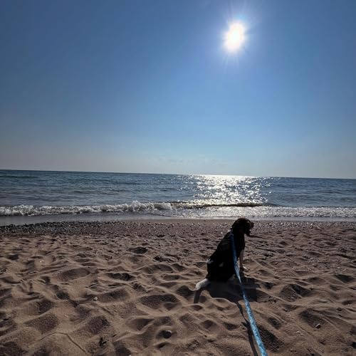 Bonus Montage | Lake Huron