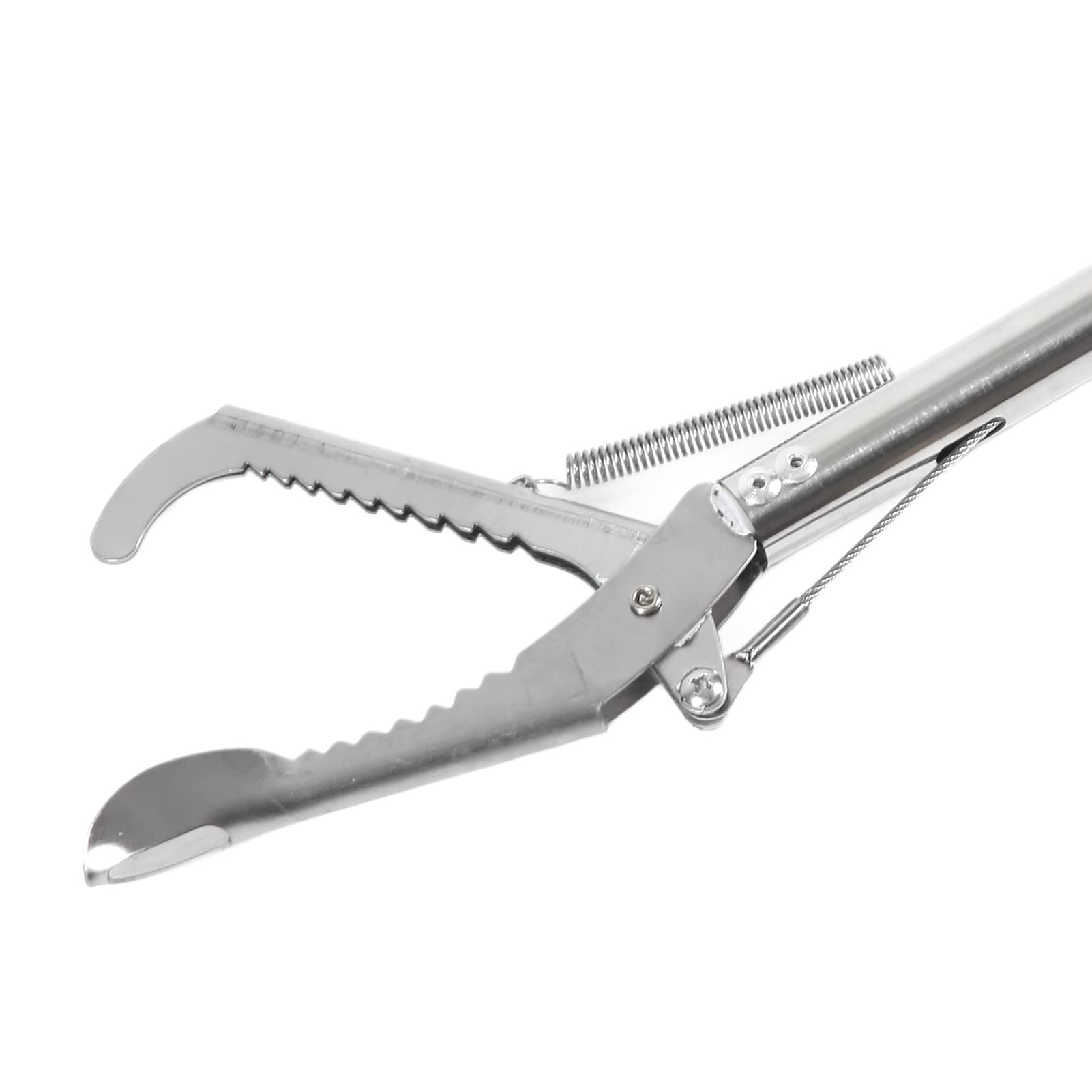 VBESTLIFE Pinze A Forbice Per Granchi Extra Lunghe 75 Cm - In Acciaio Inox Per Pesca E Frutti Di Mare