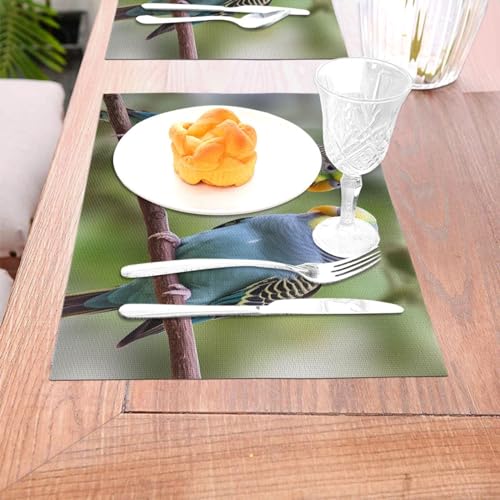 Set de table pour intérieur et extérieur idéal pour repas de terrasse - 5