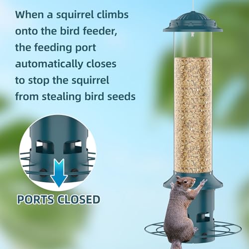 Image of Metal Squirrel Proof Bird Feeders for Outdoors Hanging 4.0 LB Large Capacity,Easily Beat Squirrels,Easy to Clean and Fill,Waterproof,Attracting Finch,Cardinal,Chickadee and More