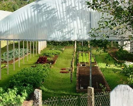 Brazil Green Unroasted Coffee Beans 2 Pounds #TOP3