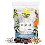 Succulent Terrarium Planter Kit, DIY Set with Soil, Pumice, Horticultural Charcoal, Sphagnum Moss, Red Lava Rock