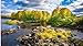 Yqgdss Piedras Y Árboles En El Agua Puzzle 300 Piezas Decoración De Pared Juego Familiar para Niños Adultos Inicio Puzzle Eventos