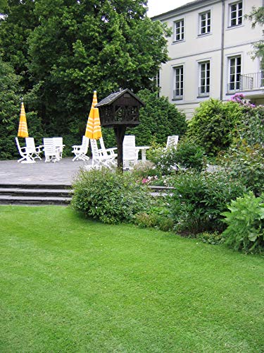 Kiepenkerl 4000159801028 RSM 1.1.2 Zierrasen Fein 10 kg