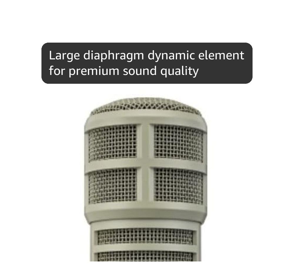 Amazon.com: Electro-Voice RE20 Broadcast Announcer Microphone with