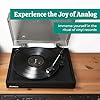 Electrohome Montrose Vinyl Record Player 2-Speed Belt-Drive Turntable, with Audio-Technica Stylus, Speed Control Motor, Built-in Preamp, Wood Plinth, Anti-resonant Platter, Auto-Stop (RR35B) #5