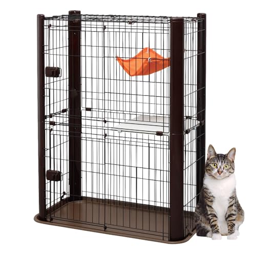 �J���[�X�����P�[�W 2�i P-CSC-902