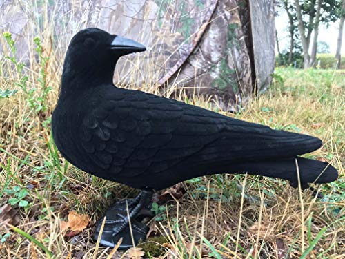FARM-LAND Lockkrähe herumschauend, beflockt 33cm Krähe Rabe Krähenjagd Cover