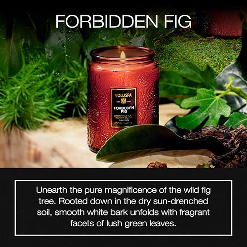 Image of Voluspa Forbidden Fig Candle, 5.5oz, Coconut Wax Blend, Scented Candles for Home, 50 Hour Burn Time, Handcrafted in The USA