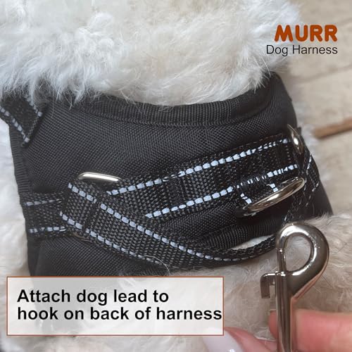 Small dog harness no pull, puppy harness with lead - Image 3