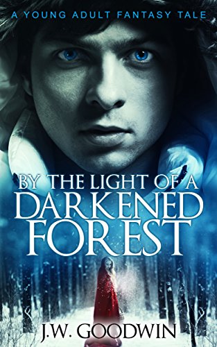 By The Light Of A Darkened Forest: A Fantasy Adventure by [J.W. Goodwin, Elizabeth N. Love]