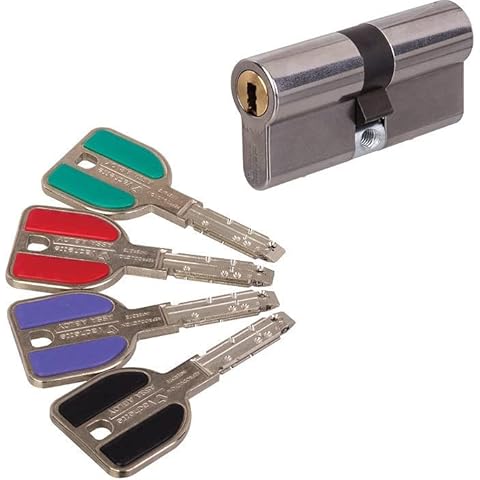 RADIALIS Cow Cylinder Lock with 2 Keys and 4 Keys Cover