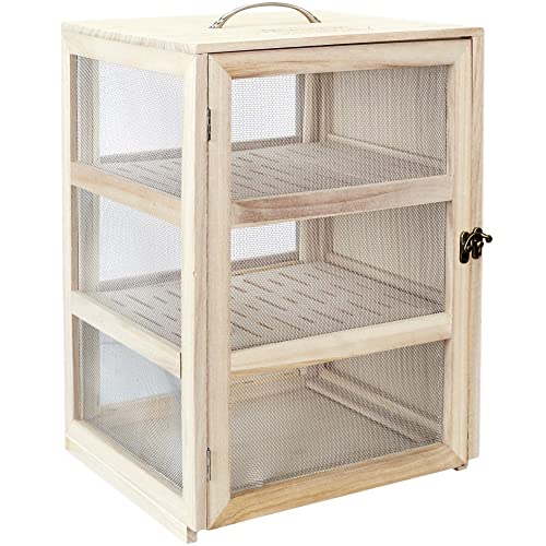 COOK CONCEPT Garde Manger 28X24X39Cm Cuisine Conservation Autre Accessoire, Paulownia, Bois-Acier, 28,2 x 24 x 39