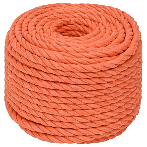 Rantry Work Rope Orange 12 mm 25 m Polypropylene, Multipurpose Utility Rope Hanging Cord, Durable Braid Nylon Cord Tarp Rope for DIY, Gardening Design, Decoration Ropes & Hardware Cable