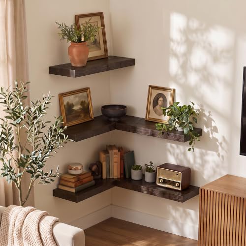 Image of Fun Memories 18 inch Elm Wood Floating Shelves for Wall, Walnut Finish, 2 Pack