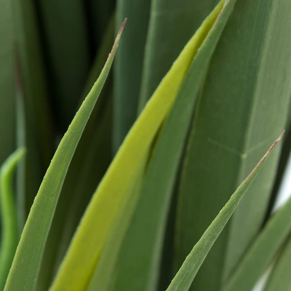 Decovego Yucca Plante Artificielle Artificiel Plastique 150 cm Domaine Interne