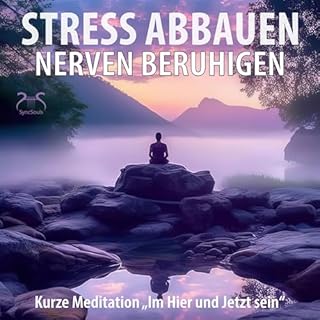 Stress abbauen, Nerven beruhigen mit Meditation "im Hier und Jetzt Sein" Titelbild