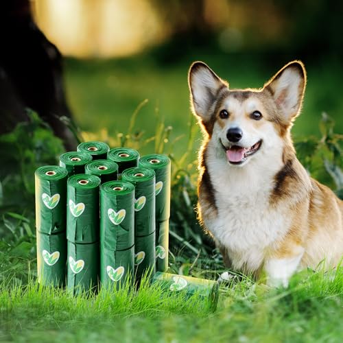 Image of Pkpoo 100% Compostable Dog Poop Bags with Handles, Extra Wide, Vegetable-Based Large Poop Bags for Dogs, Biodegradable Waste Bags for Poo, Cat Litter, Diaper Sacks, Unscented, 180 Counts