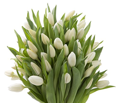 Blooms2Door KBDF1290-V999-A999 Prime Next Day Delivery - Fall Collection - 50 White Tulips (Farm-Fresh, Cut-To-Order And Homegrown In The Usa). Gift thumb #2