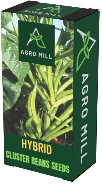AGRO MILL CLUSTER BEANS/GUAR KI FHALI/GAWAR KI FALI (FOR KITCHEN GARDEN)-4