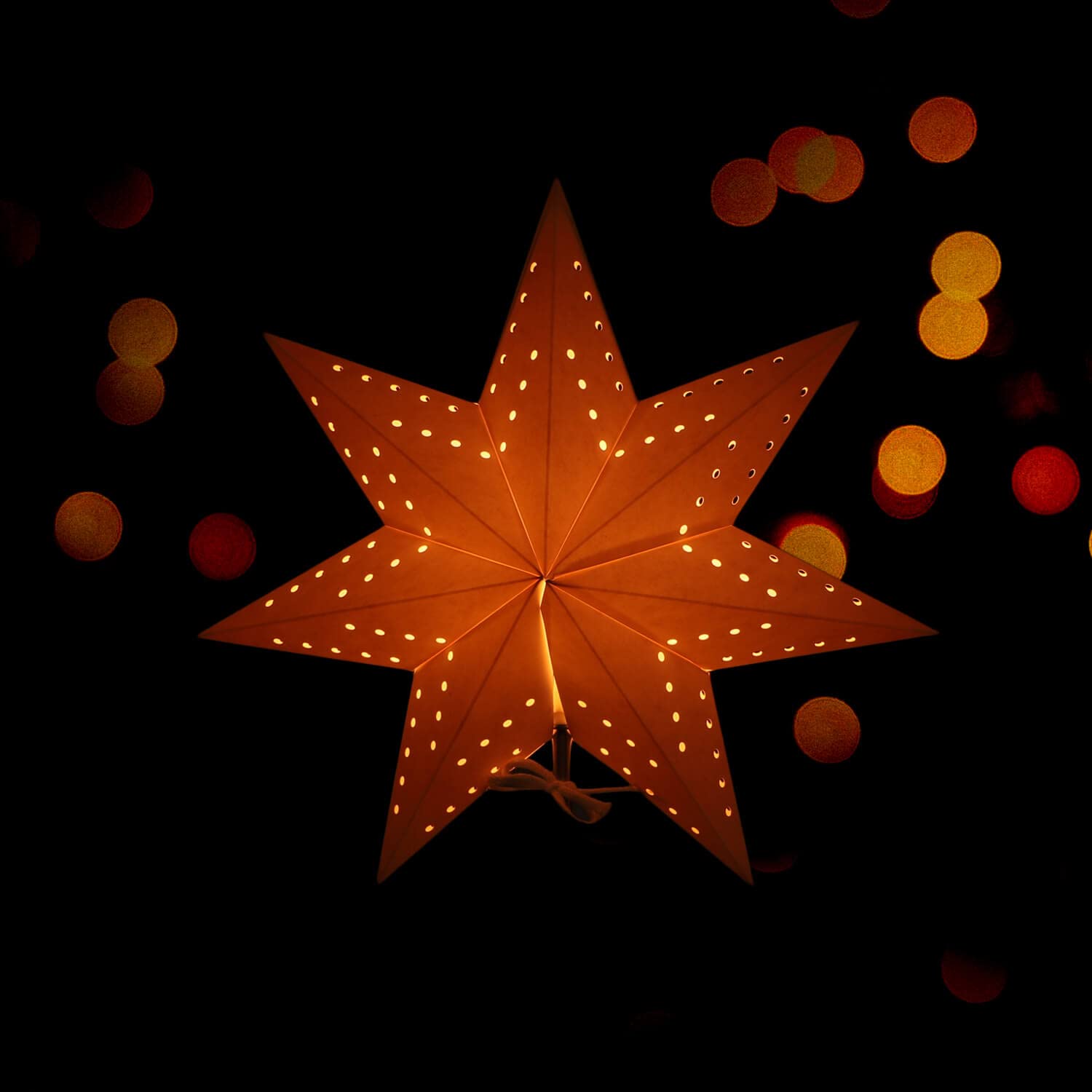 LED Universum - Papier Weihnachtsstern Tischleuchte Standstern weiß, Metallfuss, Dekostern mit Kabelschalter, E14 Fassung, 51cm Höhe (weiß, 2 Stück)