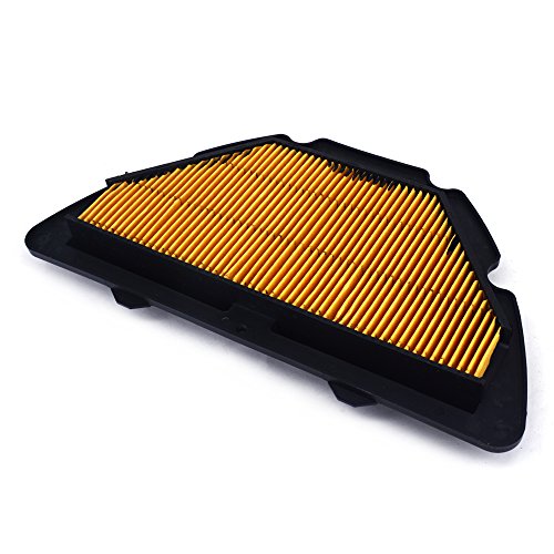 Filtro aria cartuccia filtro aspirazione Cleaner