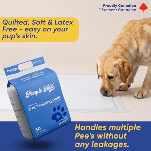 Image of Pet Training Pads Air Series - XL (Pack of 30) | Leakproof Heavy-Absorbent Puppy Pee Pads with Non-Slip Adhesive Tape | Odour Control, Quick-Dry Potty Pads for Dogs (30, 90x60cm)