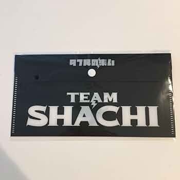 TEAM SHACHI 特典写真 TEAM SHACHI 1stアルバム「TEAM」発売記念オンライン特典会開催