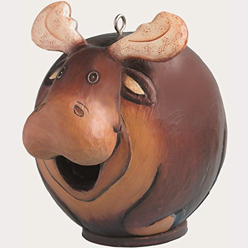Songbird Essentials SE3880089 Moose Gord-O Birdhouse (Set of 1)