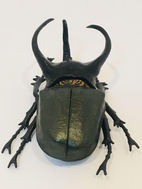 Amazon.co.jp: カブトムシ クワガタ フィギュア 生き物 生物