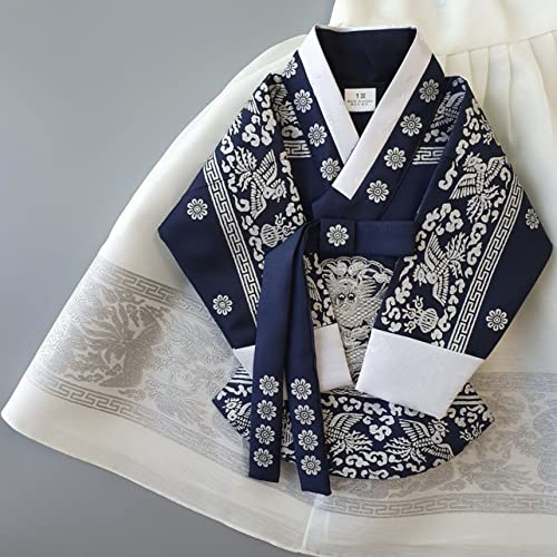 Korean Baby Girl Hanbok for 100days~15y/o Ivory Navy Foil Girl Kids Hanbok4