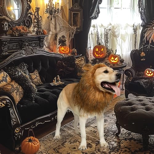 Disfraz León para Perros Grandes con Orejas y Cola miniatura 5
