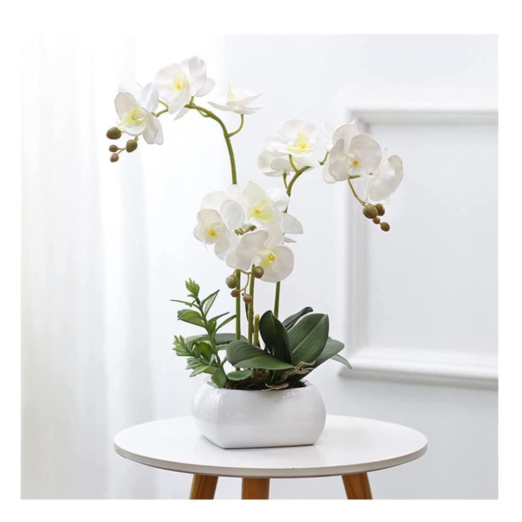 XDLEDMKIZ artificial flower Phalaenopsis Artificial Flower with White Ceramic Vase Fake Flower for Home Wedding Center Plastic Flower Decoration Home Centerpieces