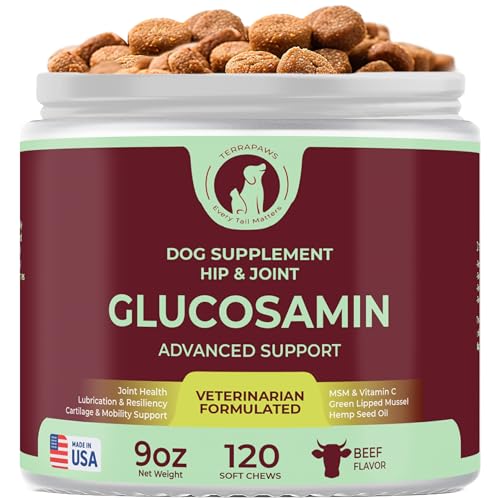 Hip & Joint Supplement for Dogs – Mobility Support with Glucosamine, Chondroitin, MSM, Turmeric, Mussel, Hemp Dog Joint Pain Relief – 120 Soft Chews for Large, Medium, Small Dogs Breeds– Beef Flavor - image 8