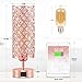 Hong-in Crystal Table Lamp - 3-Way Dimmable Touch Control, Rose Gold Bedside Lamp with USB C and A Ports, Nightstand Light for Living Room, Bedroom, Home Office (Bulb Included)