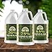 Ecoxall 75% Pure Concentrated Strong Vinegar for Cleaning, High Strength Industrial and Household Cleaner, Gardening and Yard Vegetation Control, 1 Gallon (128 Fl oz), Pack of 4