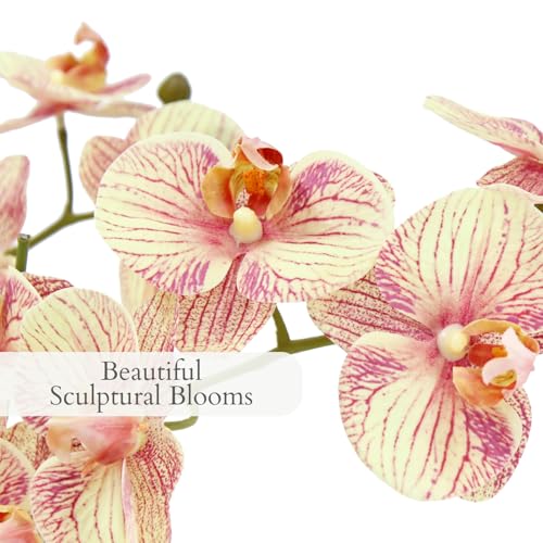 Image of CG Hunter, Faux Orange Orchid Plant, 23 in, White, Home Decor