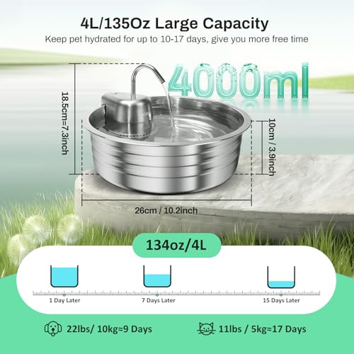 Fontaine à eau pour chat en acier inoxydable durable et hygiénique - 3