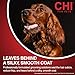 CHI for Dogs Oatmeal Conditioner - Best Moisturizing Formula for Dry Skin - Dog Conditioner with Soothing Ingredients - Paraben and Sulfate Free - pH Balanced - Made in USA, 6 Fl Oz