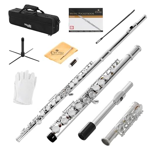 Mendini By Cecilio Flutes - Closed Hole C Flute For Beginners, 16-Key Flute with a Case, Stand, Lesson Book, and Cleaning Kit, Musical Instrument for Kids, Nickel Plated