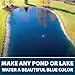 Airmax Twilight Blue Pond Dye 4X Concentrate for Outdoor Ponds & Lakes, Natural Pond Colorant & Beauty Enhancer, Block Ultraviolet Rays, Fish, Bird & Livestock Safe, Easy Liquid Application,1 Quart
