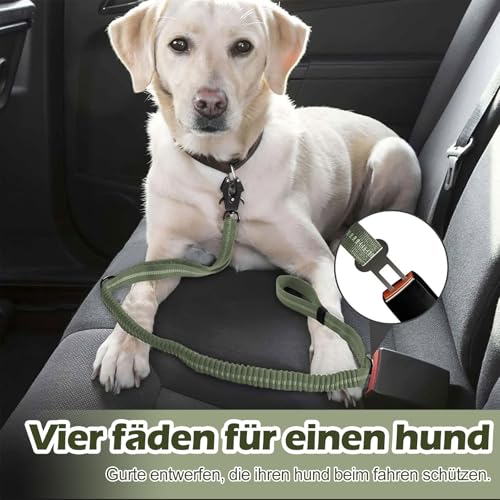 Strapazierfähige Taktische Hundeleine - 1.35-1.9M Hundeleine Verstellbar mit Müllsack, Stark Reflektierend Schnellverschluss Karabiner Sicherheitsleine Dog Leash Hundeleine für mittelgroße Große Hunde