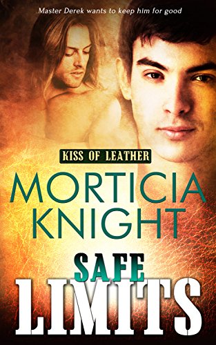 Safe Limits (Kiss of Leather Book 2)