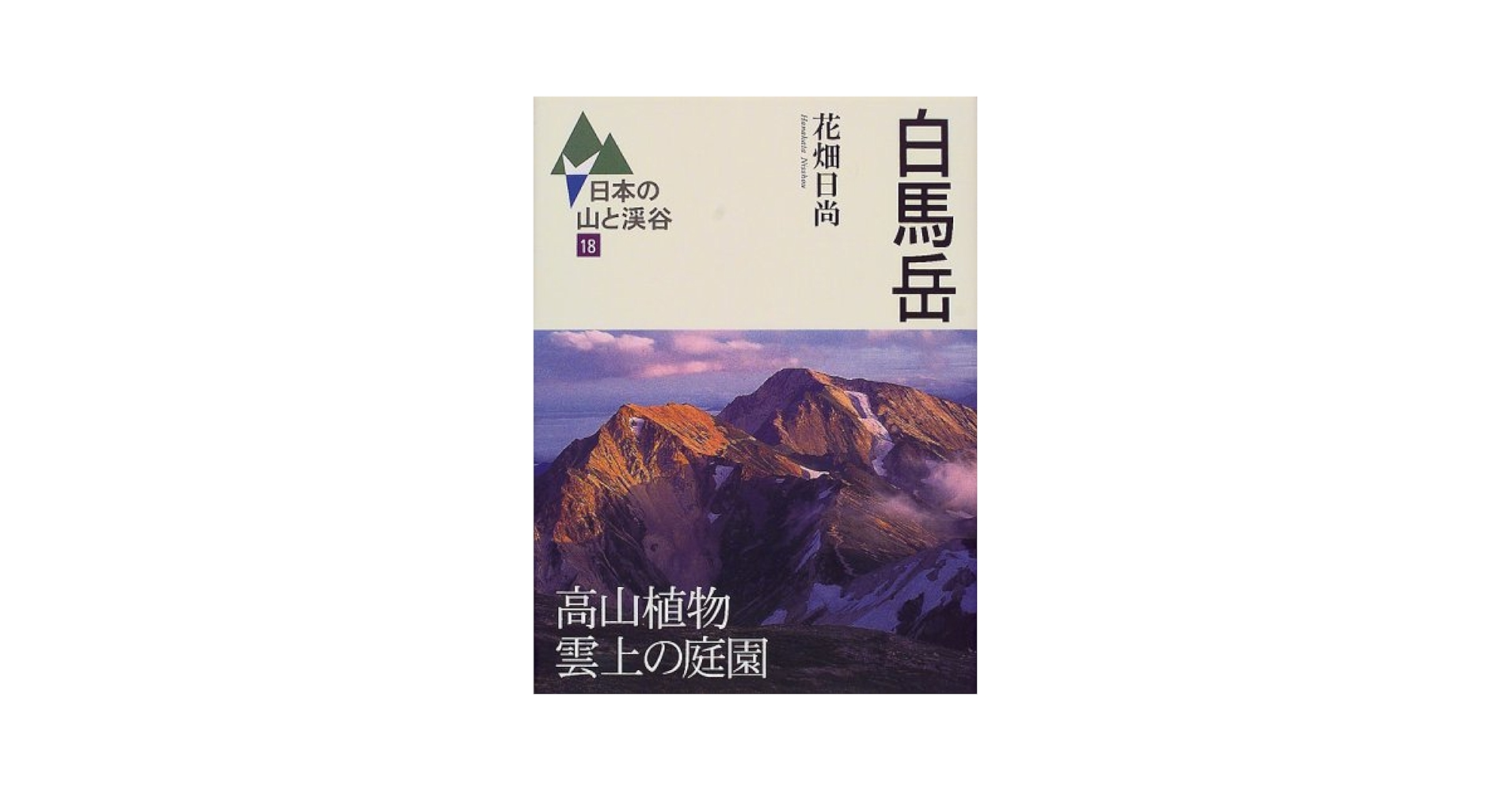 山と渓谷 山と溪谷 2025年8月号「癒やしと冒険の八ヶ岳案内」 | 山と溪谷