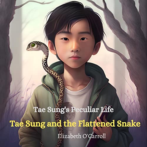 Tae Sung&amp;rsquo;s Peculiar Life by Elizabeth Carroll episode artwork