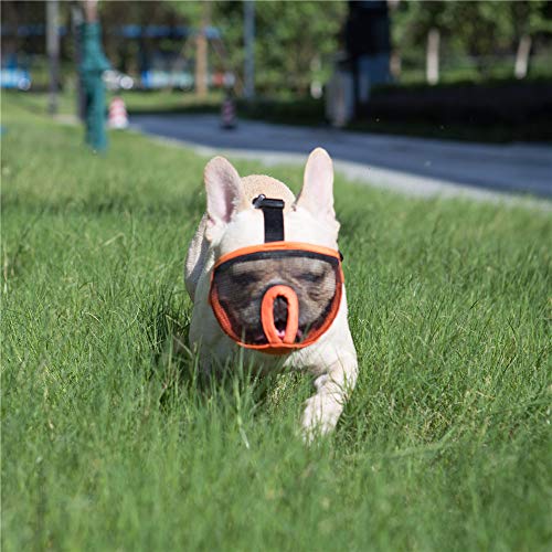 image for JYHY Short Snout Dog Muzzles- Adjustable Breathable Mesh Bulldog Muzzl