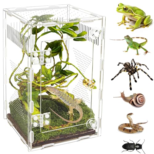 Acrylic Jumping Spider & Reptile Habitat 9.8x5.9x5.9in
