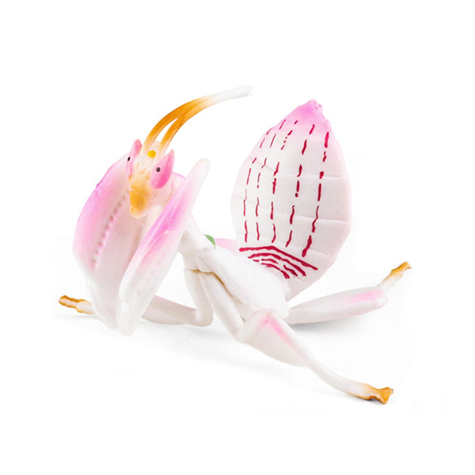 hogtnd Solid Simulation Insect Model Toy Tricky Children Cognitive Gifts Adult Trickster Insect Model